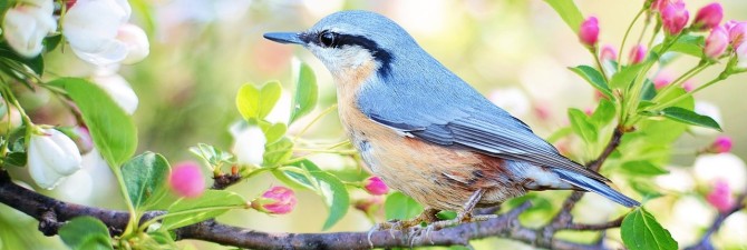 Zukunft ist, was du draus machst: Wahlaufruf für den 9.6.24 zu den Europawahlen